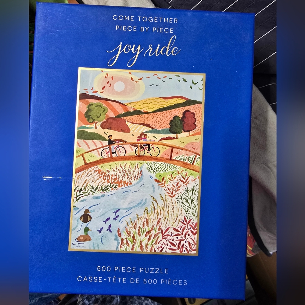 Joy Ride 500-Piece Puzzle - Blue Box